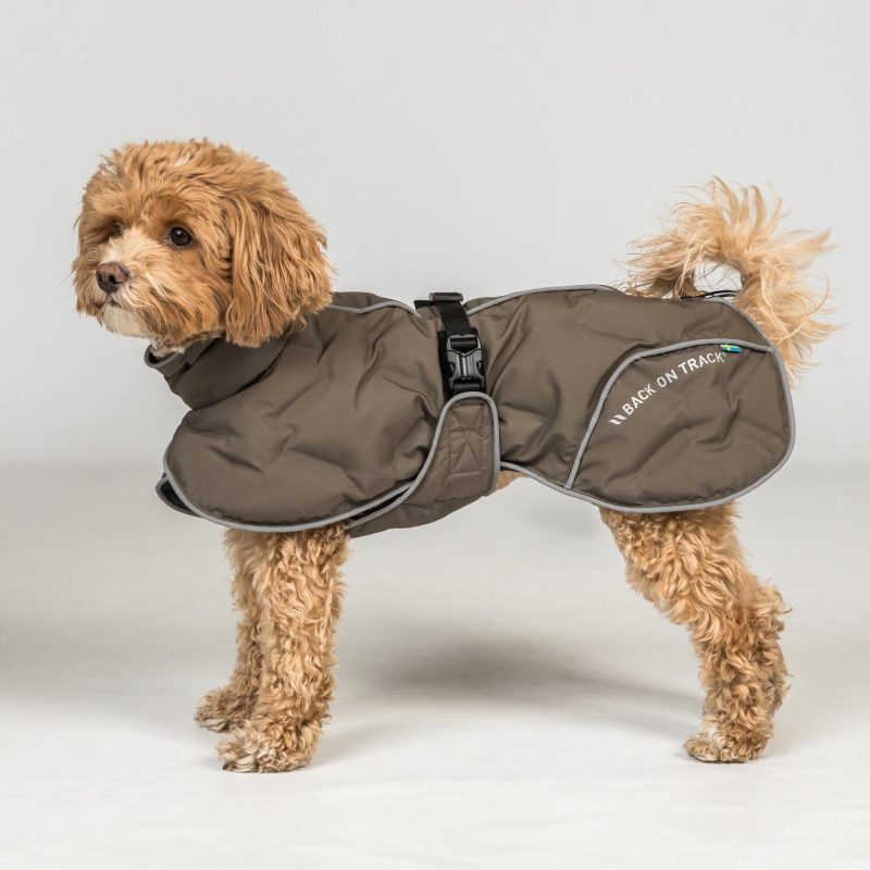 Back on Track BAY Winter-Hundemantel, 120 g, Hoher Rutenansatz &ndash; Olivgr&uuml;n &ndash; 55