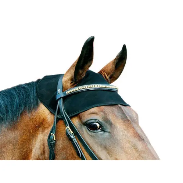 Back on Track Genickschoner