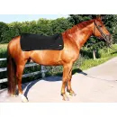 Back on Track Rückenwärmer