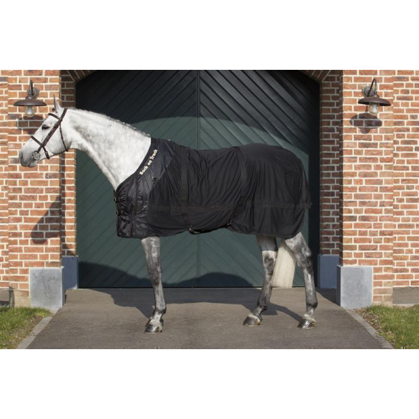 Back on Track Netzdecke 155