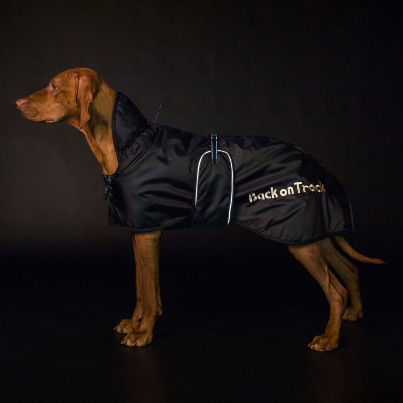 Back on Track Hunde Standardmantel &ndash; Schwarz &ndash; 78