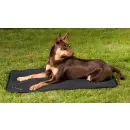 Back on Track Hundematratze Allround