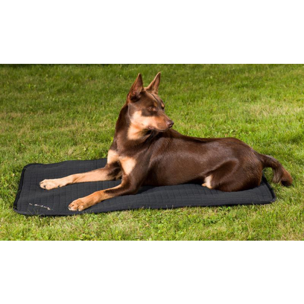 Back on Track Hundematratze Allround 55x38cm