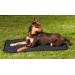 Back on Track Hundematratze Allround 55x38cm