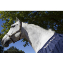 Back on Track Netzdecke blau 145