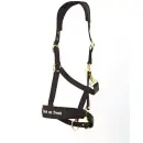Back on Track Halfter Werano schwarz