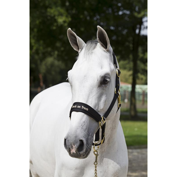 Back on Track Halfter Werano  schwarz Pony