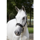 Back on Track Halfter Werano  schwarz Pony