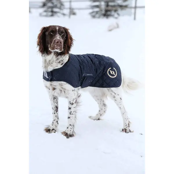 Back on Track Hundemantel Nights Collection blau