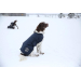 Back on Track Hundemantel Nights Collection  blau 40 cm