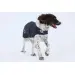 Back on Track Hundemantel Nights Collection  blau 40 cm