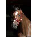 Back on Track Halfter Werano rubinrot Cob