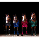Back on Track Stallgamaschen Royal blau