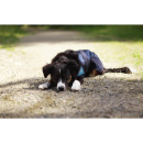 Cool on Track - Kühl-Hundemantel