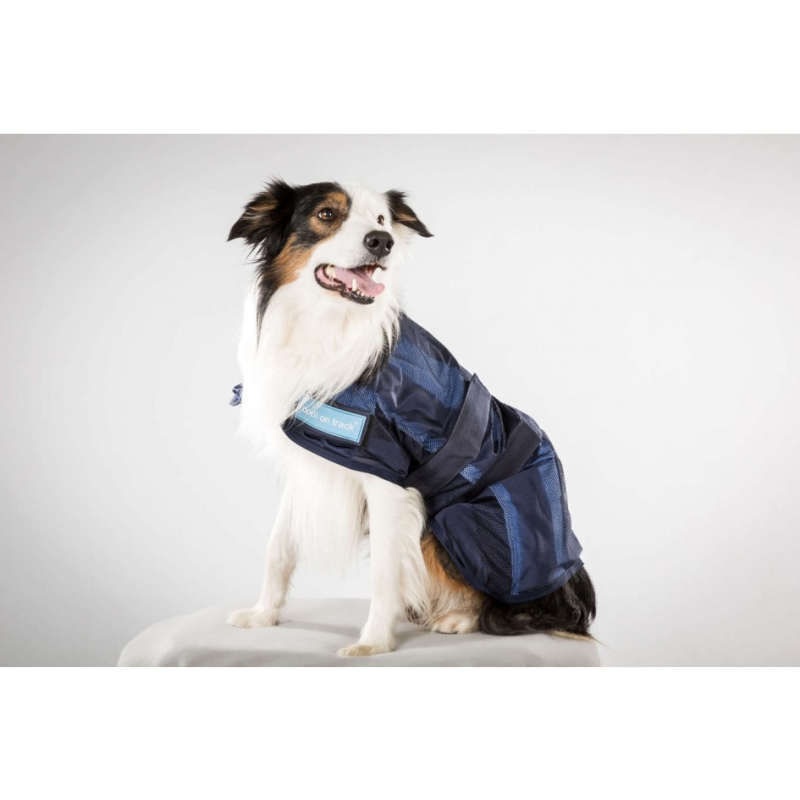 Cool on Track K&uuml;hl-Hundemantel &ndash; Blau &ndash; 40 cm