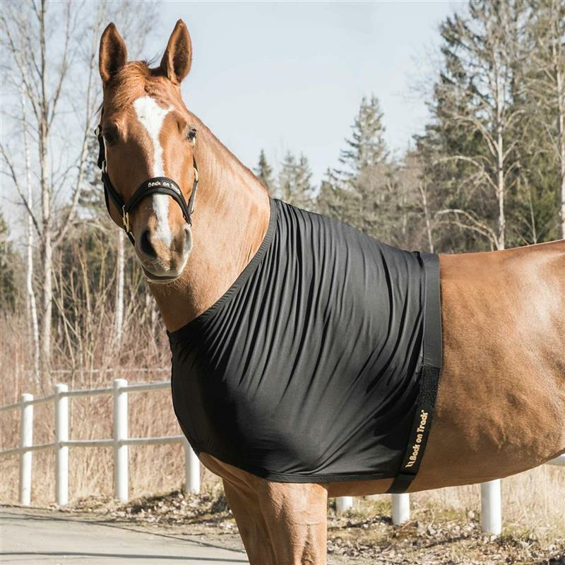 Brustschutz Pferd Back On Track