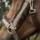 Back on Track Haze Collection Halfter braun Pony