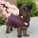 Back on Track Hundemantel Nights Collection rubinrot