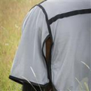 Back on Track Buzter Fliegendecke 145