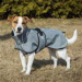 Back on Track Bark Allround Hundemantel grau 50