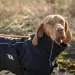 Back on Track Nella Allround Hundemantel schwarz 60