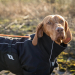 Back on Track Nella Allround Hundemantel schwarz 70