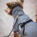 Back on Track Nella Allround Hundemantel grau 30