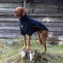 Back on Track Cassie Allwetter Hundepullover