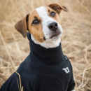 Back on Track Cassie Allwetter Hundepullover 30
