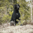 Back on Track Cassie Allwetter Hundepullover 30