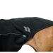 Back on Track Cassie Allwetter Hundepullover 30