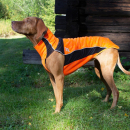 Back on Track Eddie Hundepullover Reflektierend 65