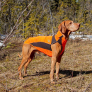 Back on Track Eddie Hundepullover Reflektierend 65