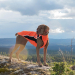 Back on Track Eddie Hundepullover Reflektierend 65