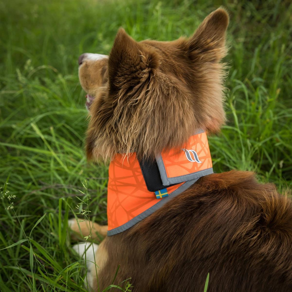 Back on Track Draco Bandana mit hoher Sichtbarkeit orange