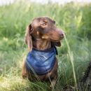 Cool on Track Cooling Bandana