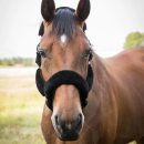 Back on Track Halfter Audrey Pony