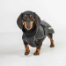 Back on Track Buddy Hundemantel lang schwarz 33 cm