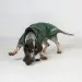 Back on Track Buddy Hundemantel lang grün 50 cm