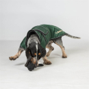 Back on Track Buddy Hundemantel lang grün 56 cm