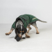 Back on Track Buddy Hundemantel lang grün 56 cm