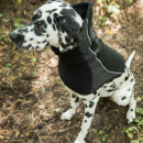 Back on Track Benji Nackenwärmer M