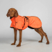 Back on Track Bark Allround Hundemantel orange