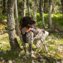 Back on Track TRAKK Hunde-Brustschutzweste XS