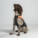 Back on Track TRAKK Hunde-Brustschutzweste M