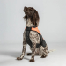 Back on Track TRAKK Hunde-Brustschutzweste M