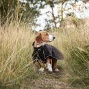 Back on Track BUDDY 2.0 Softshell-Hundemantel schwarz