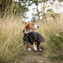 Back on Track BUDDY 2.0 Softshell-Hundemantel schwarz 28 cm
