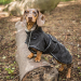 Back on Track BUDDY 2.0 Softshell-Hundemantel schwarz 62 cm