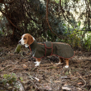 Back on Track BUDDY 2.0 Softshell-Hundemantel olivgrün 33 cm